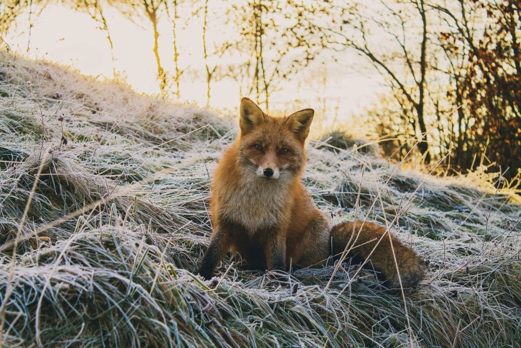 Is Your Beauty Routine Really Cruelty-Free?