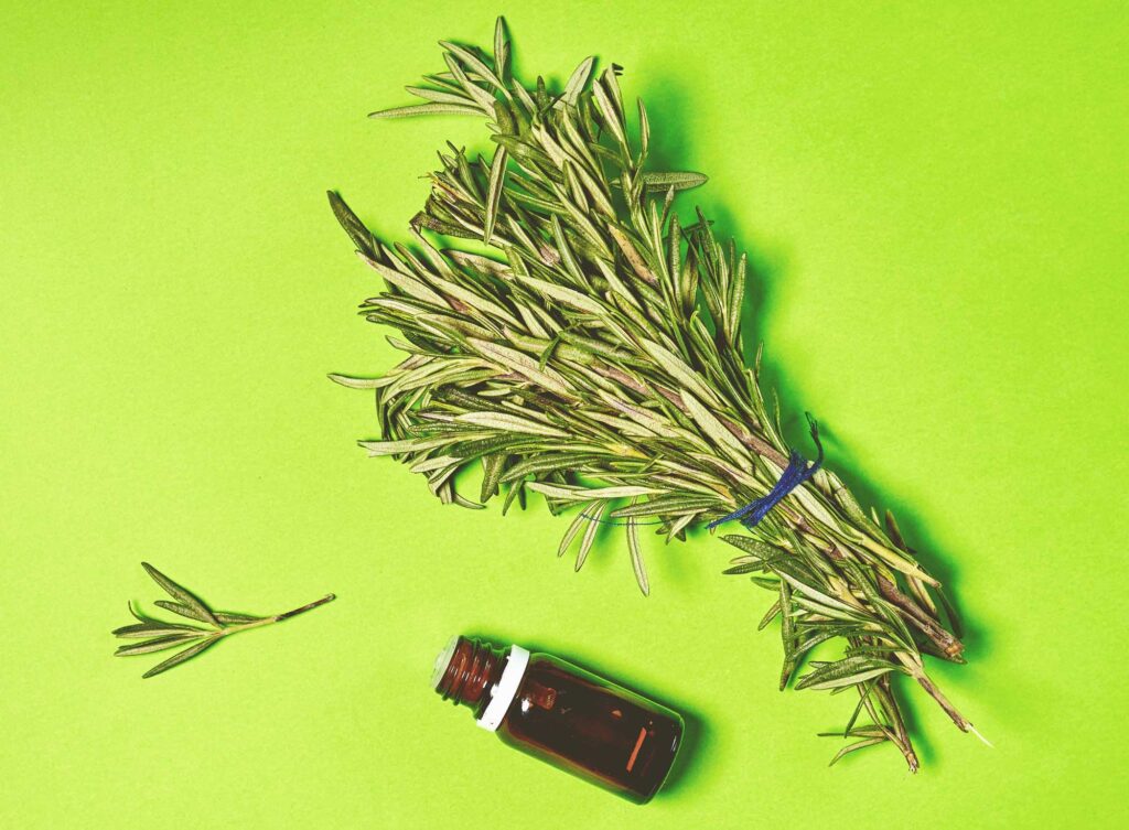 The Remarkable Benefits of Rosemary Oil for Your Health and Wellness
