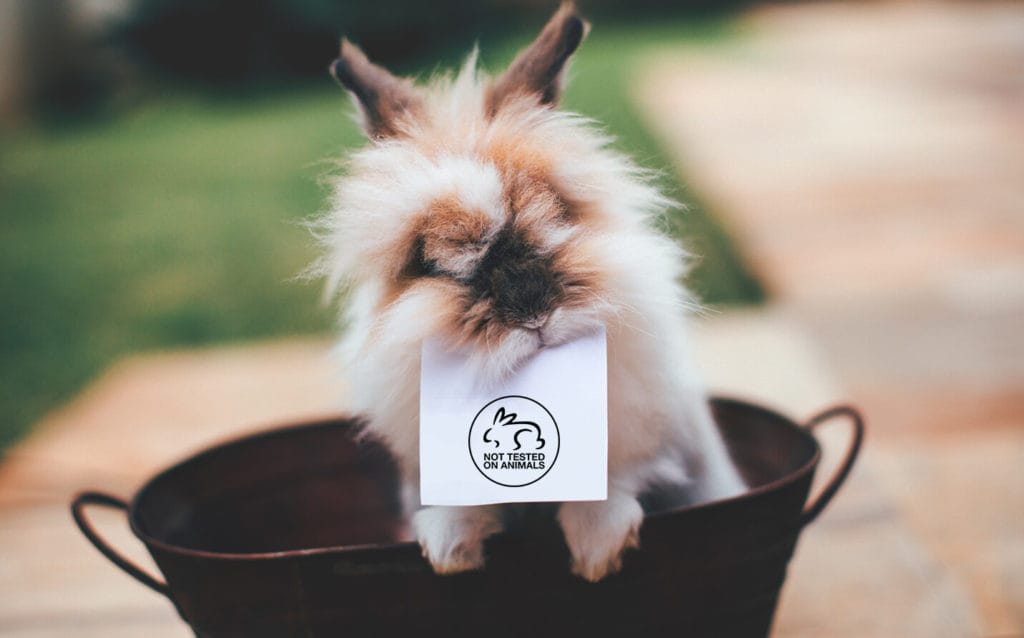 4 Reasons to Switch to Cruelty-Free Brands
