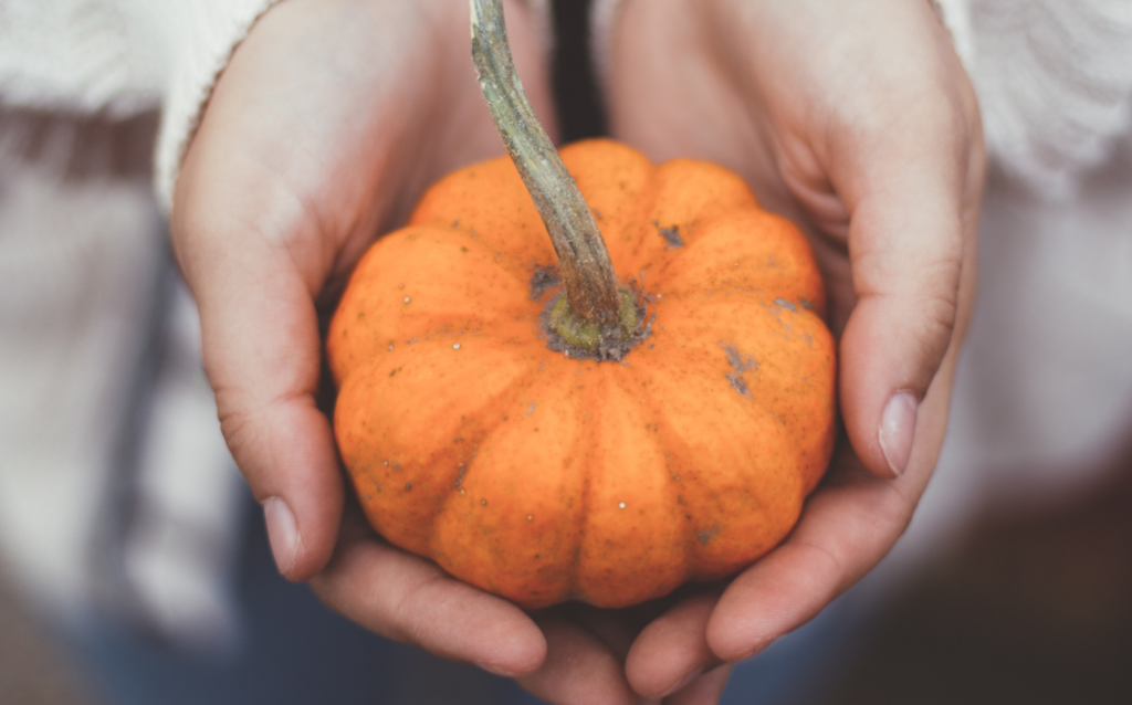 3 Fall Face Mask Recipes For Glowing Skin