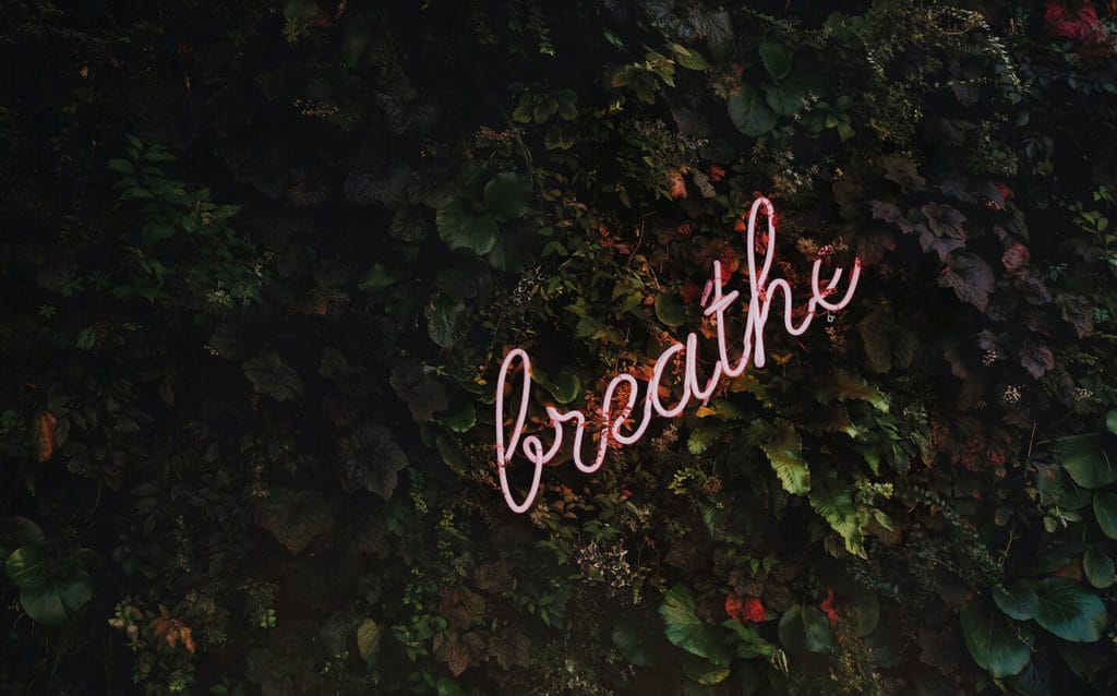 7 Elements of Holistic Wellness You Need to Feel Balanced