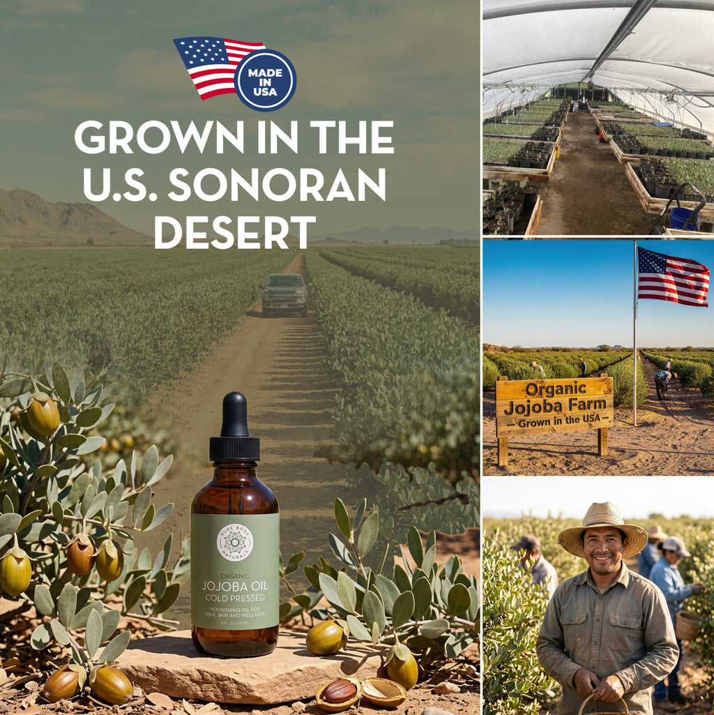 Organic jojoba oil bottle displayed in a desert farm setting with USA-sourced imagery, jojoba plants, and farmers harvesting crops.
