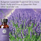 Bottle of Bulgarian Lavender Essential Oil with a field of lavender in the background