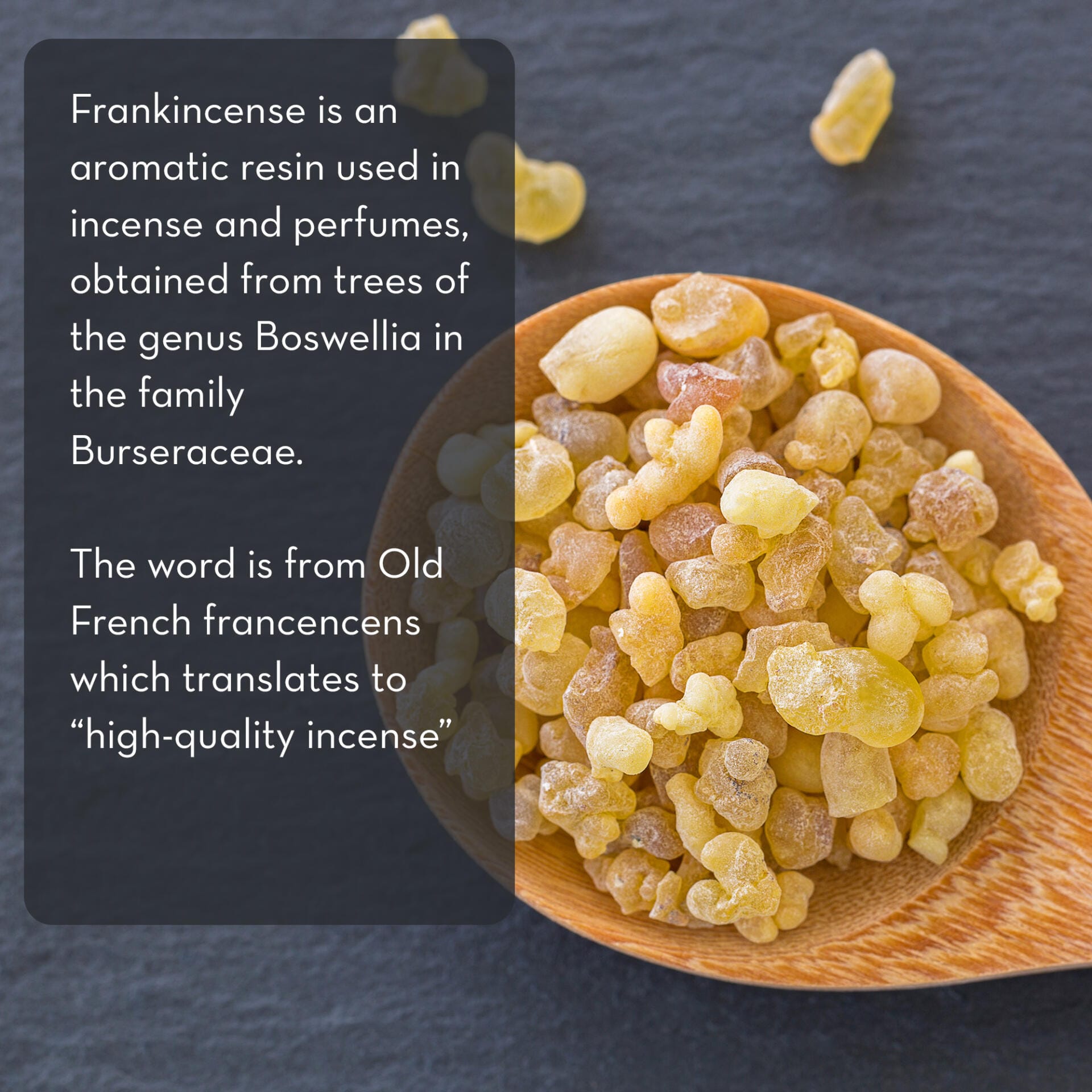 A wooden spoon filled with granules of Frankincense Essential Oil, 4 fl oz sits on a dark stone surface. Text on the image describes frankincense as an aromatic resin used in incense and perfumes, derived from trees in the Boswellia genus, and its name translates to "high-quality incense.