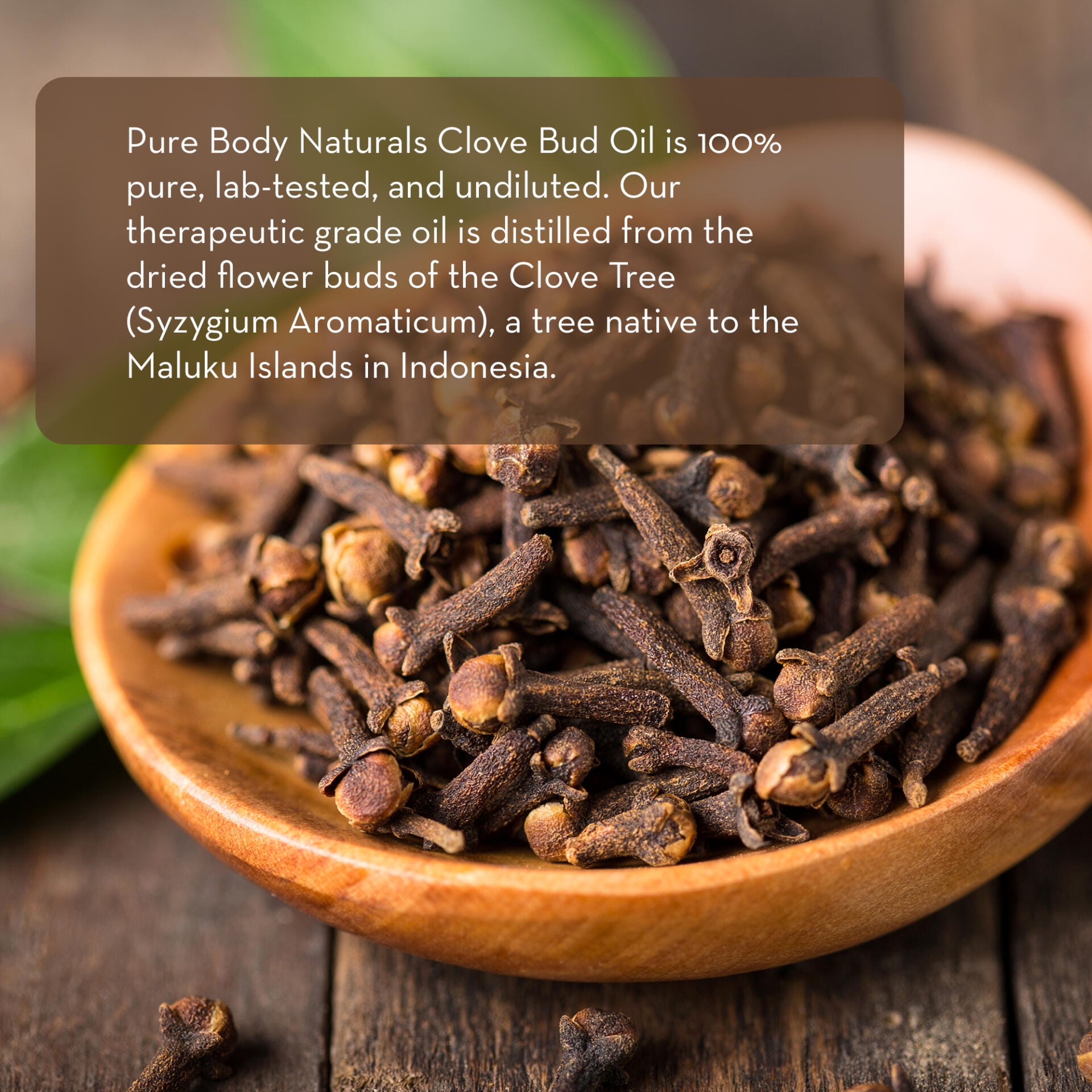 A wooden bowl filled with dried clove buds sits on a wooden surface, with green leaves partially visible in the background. An informational text overlay describes the product as "Clove Essential Oil, 10 ml," derived from the clove tree native to Indonesia.