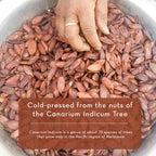 A hand touching a large pile of reddish-brown nuts in a bowl. The text overlay reads: “Cold-pressed from the nuts of the Canarium Indicum Tree. Canarium Indicum is a genus of about 75 species of trees that grow only in the Pacific region of Melanesia.” Nangai Oil, 4 fl oz.