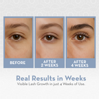 Before and after eyelash growth results showing visible improvement after 2 weeks and 4 weeks of use.