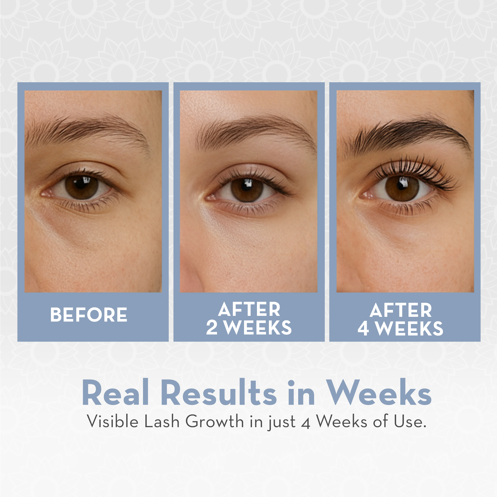 Before and after eyelash growth results showing visible improvement after 2 weeks and 4 weeks of use.