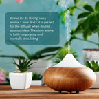 A wooden essential oil diffuser emits a visible stream of mist, surrounded by various potted plants. Text reads: "Prized for its strong, spicy aroma, Clove Essential Oil, 10 ml is perfect for the diffuser when diluted appropriately. The clove aroma is both invigorating and mentally stimulating.