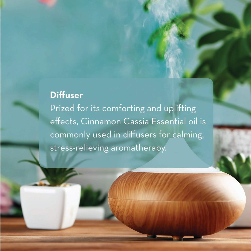 A wooden essential oil diffuser emitting mist on a wooden table surrounded by small succulent plants in white pots. Text overlay describes the benefits of Cinnamon Cassia Essential Oil, 10 ml for calming and stress relief when used in diffusers.