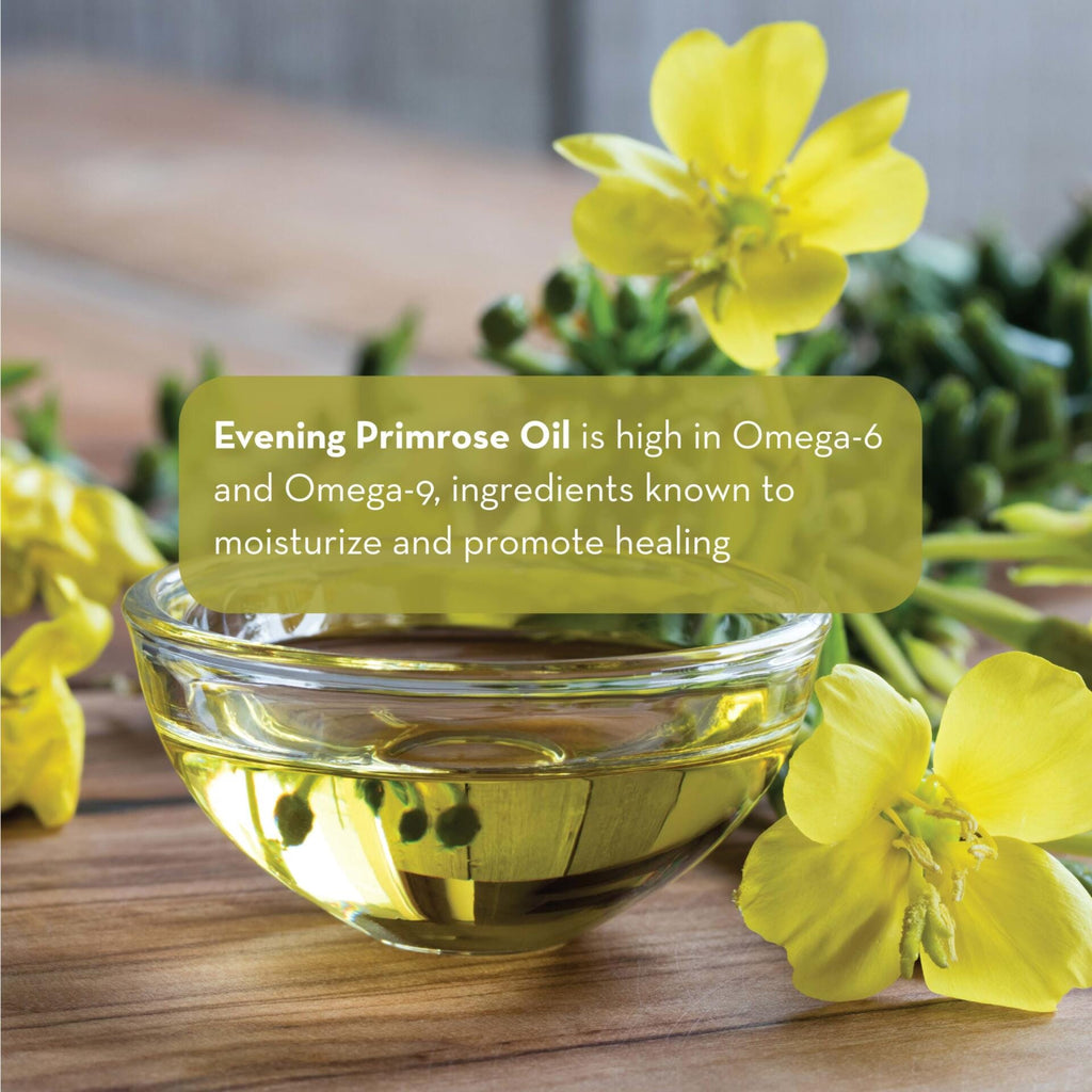 A small glass bowl filled with Evening Primrose Oil, 4 fl oz is surrounded by yellow primrose flowers. A text overlay reads, "Evening Primrose Oil is high in Omega-6 and Omega-9, ingredients known to moisturize and promote healing.