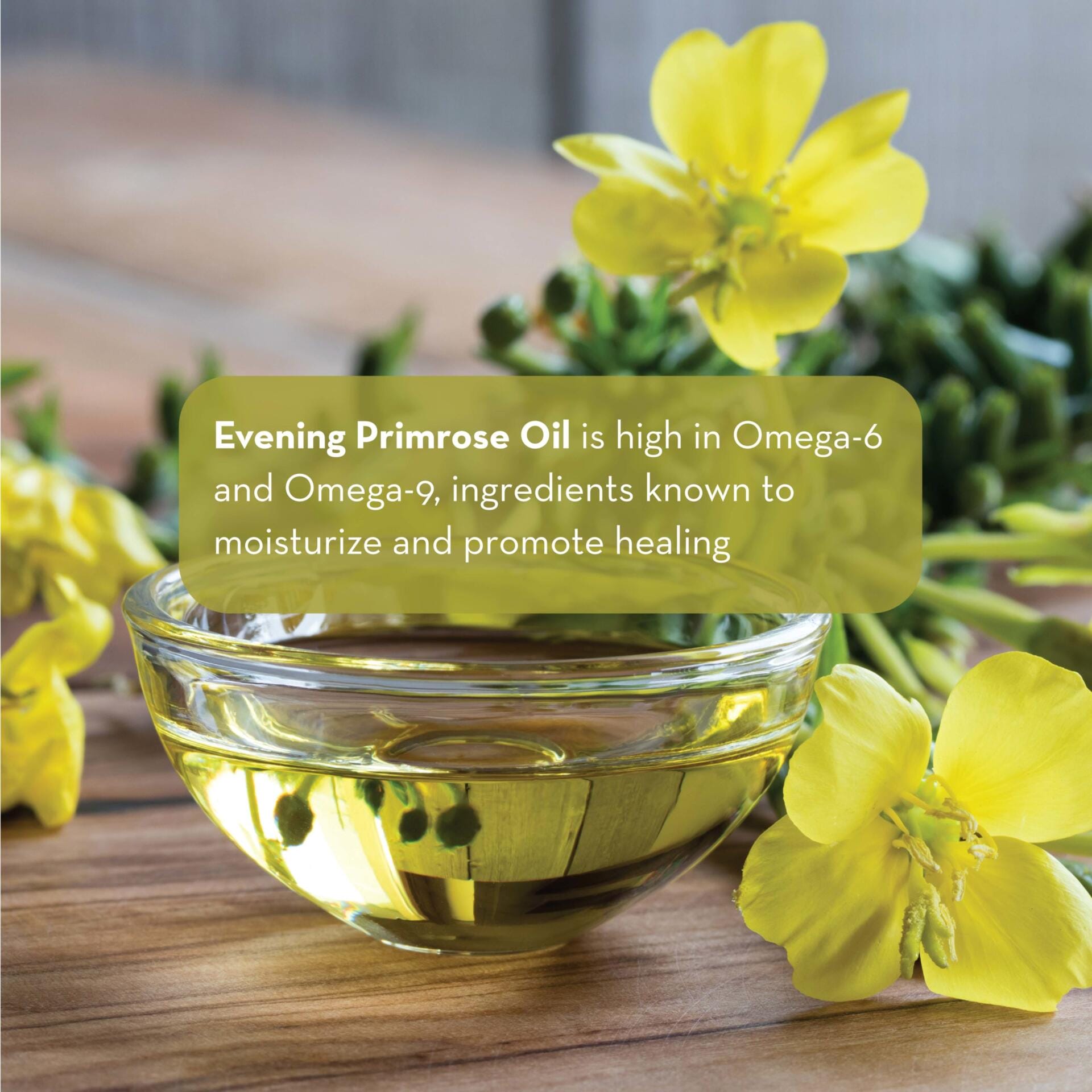 A small glass bowl filled with Evening Primrose Oil, 4 fl oz is surrounded by yellow primrose flowers. A text overlay reads, "Evening Primrose Oil is high in Omega-6 and Omega-9, ingredients known to moisturize and promote healing.
