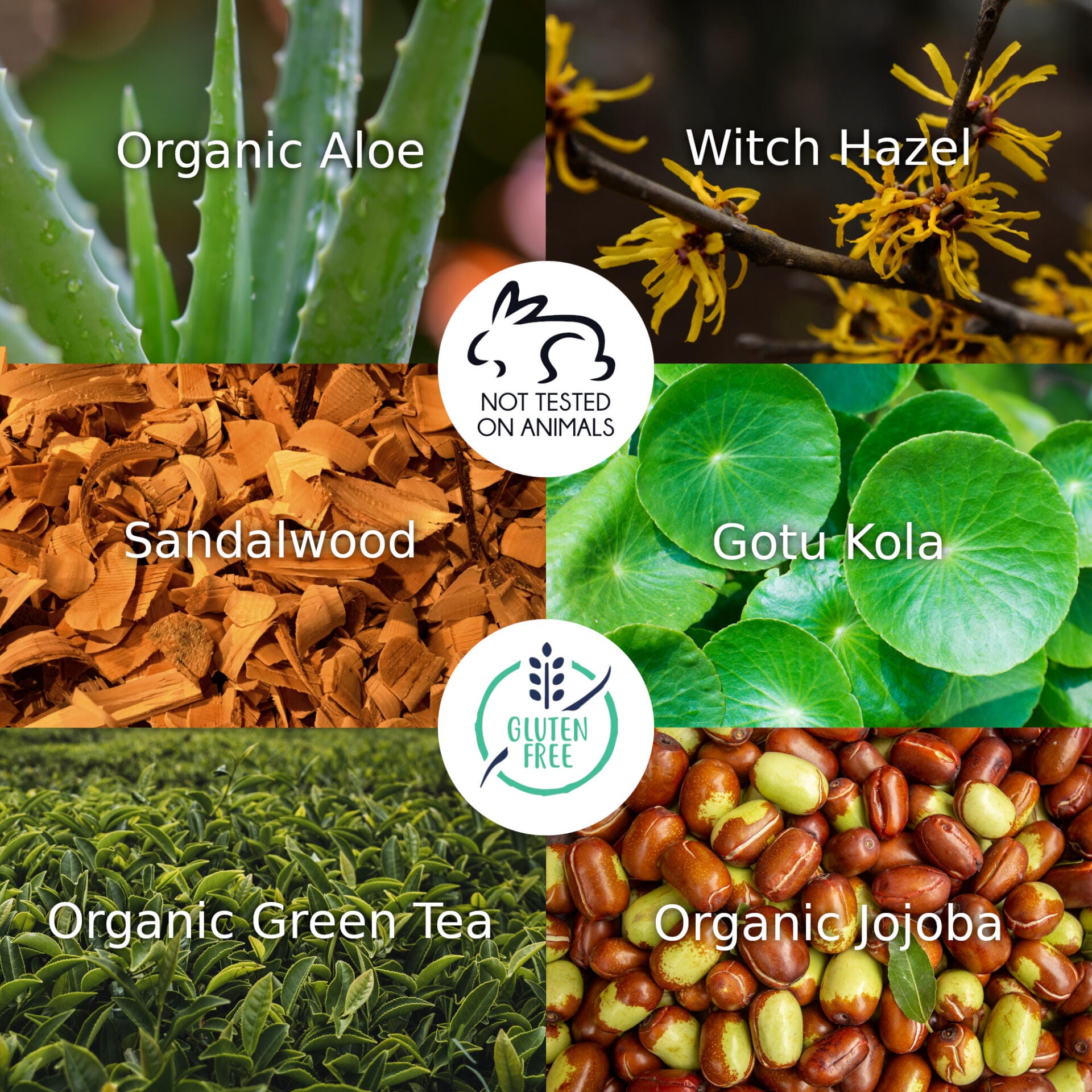 Collage of natural ingredients with labels and animal cruelty and gluten-free logos.