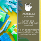 A graphic about household cleaning featuring cleaning supplies, including gloves, sponges, brushes, and a spray bottle. Text on the image states: "HOUSEHOLD CLEANING. Lemon Essential Oil, 4 fl oz is antiseptic, antifungal + antiviral. It is an air disinfectant plus it effectively kills surface bacteria!".