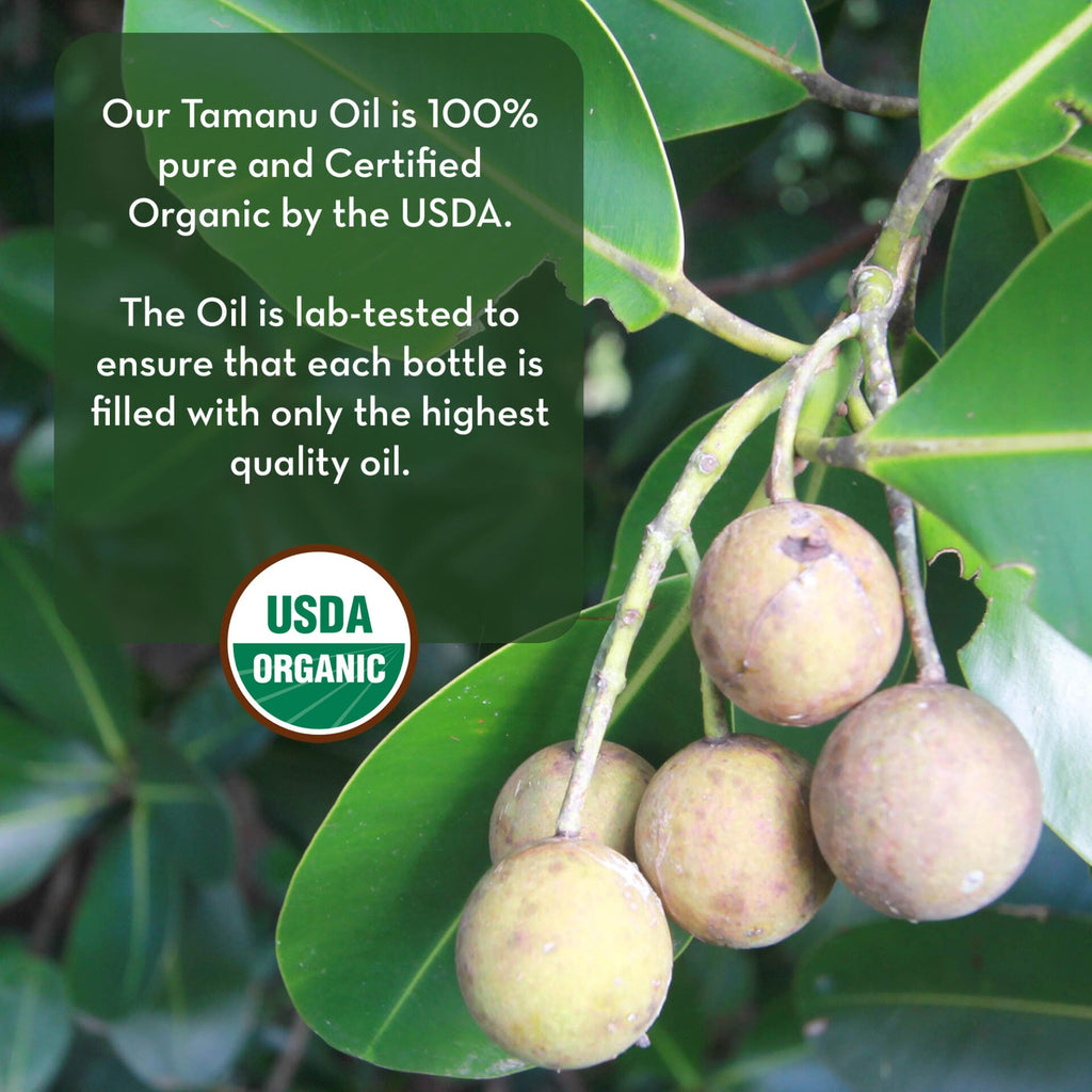 Close-up of a branch with several round fruits and green leaves, featuring a text overlay: "Our Cold Pressed Tamanu Oil is 100% pure and Certified Organic by the USDA. The Oil is lab-tested to ensure that each bottle is filled with only the highest quality oil." USDA Organic seal included.