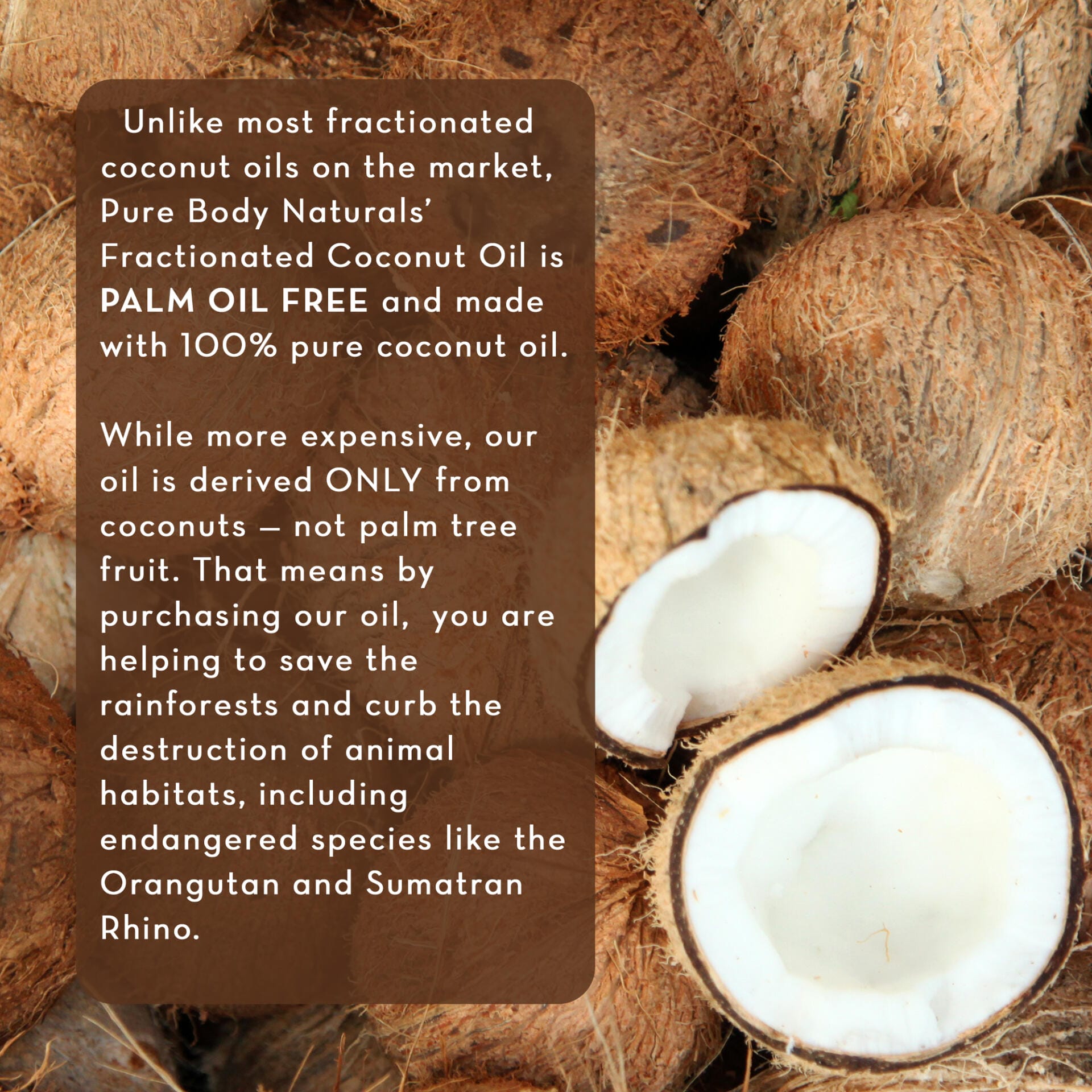 A bunch of whole and halved coconuts are pictured. Text on the image reads about the benefits of using Fractionated Coconut Oil, 100% Pure, stating it's palm oil-free, more expensive, derived only from coconuts, and helps in conserving rainforests and wildlife.