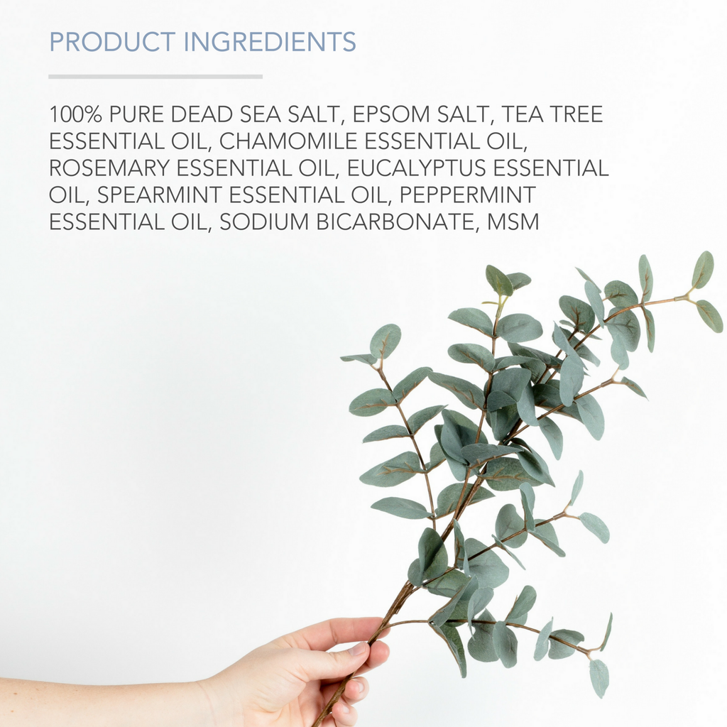 Hand holding a branch of eucalyptus with product ingredients listed on a white background