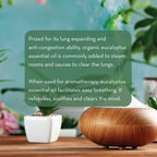 A wooden essential oil diffuser emits mist, placed on a wooden table near potted plants. Text reads: "Prized for its lung expanding and anti-congestion ability, Organic Eucalyptus Oil, 1 fl oz is commonly added to steam rooms and saunas to clear the lungs... clears the mind.