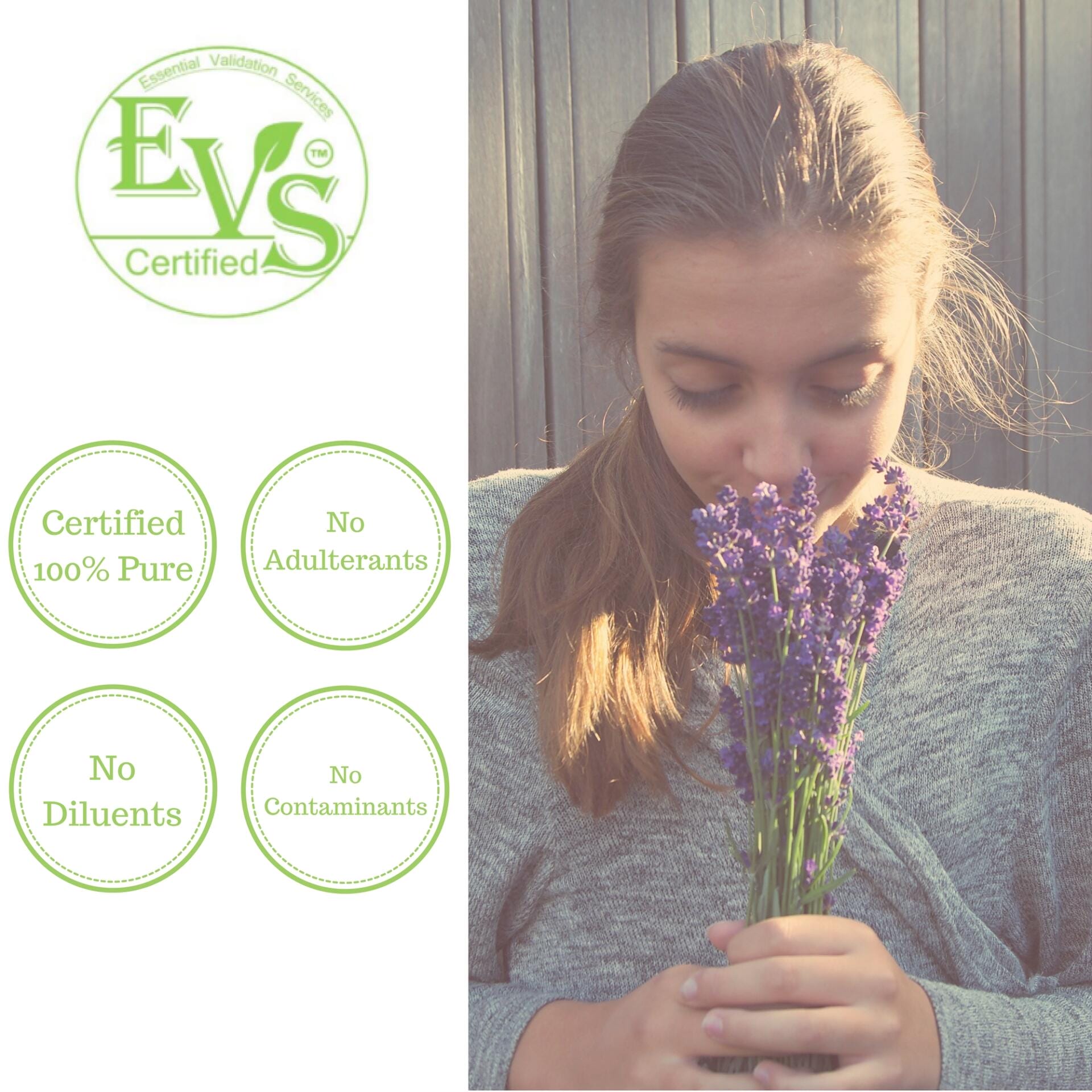 Woman smelling lavender with EVS Certified logo and certification details on a white background