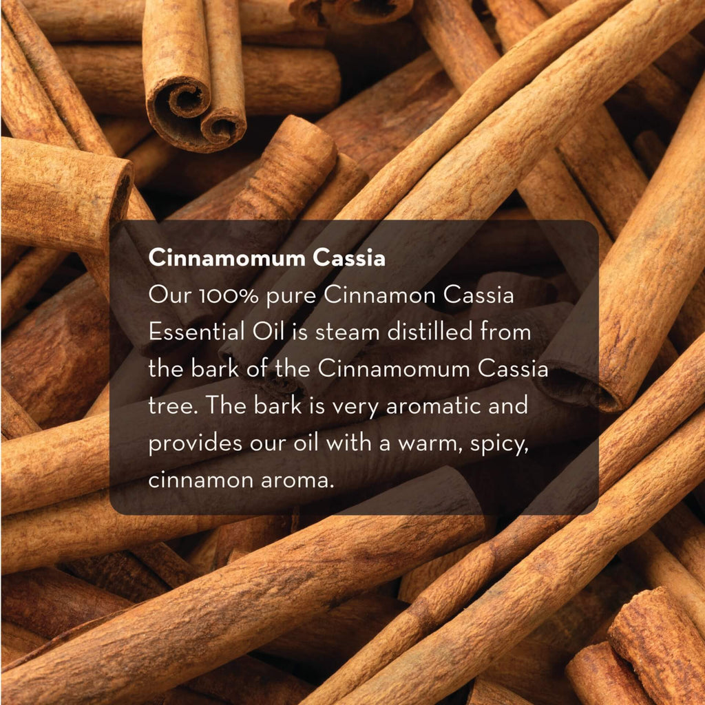 Cinnamon sticks with a text overlay. The text reads: "Cinnamomum Cassia. Our 100% pure Cinnamon Cassia Essential Oil, 10 ml is steam distilled from the bark of the Cinnamomum Cassia tree. The bark is very aromatic and provides our oil with a warm, spicy, cinnamon aroma.