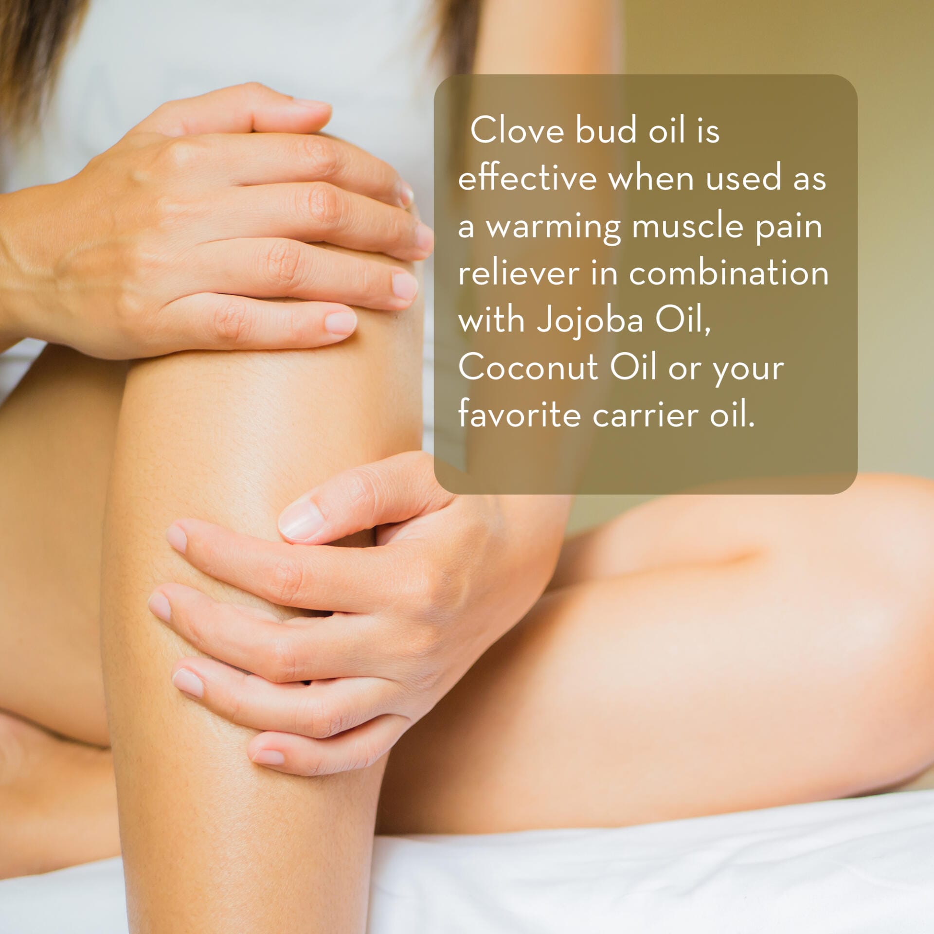 Close-up of a person massaging their knee with their hands. The text on the image reads, "Clove Essential Oil, 10 ml is effective when used as a warming muscle pain reliever in combination with Jojoba Oil, Coconut Oil, or your favorite carrier oil." The background is soft and out of focus.