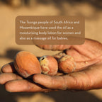 A close-up of an open hand holding four small, oval-shaped marula nuts. Surrounding text explains that the Tsonga people of South Africa and Mozambique use Marula Facial Oil as a moisturizing body lotion for women and a massage oil for babies.
