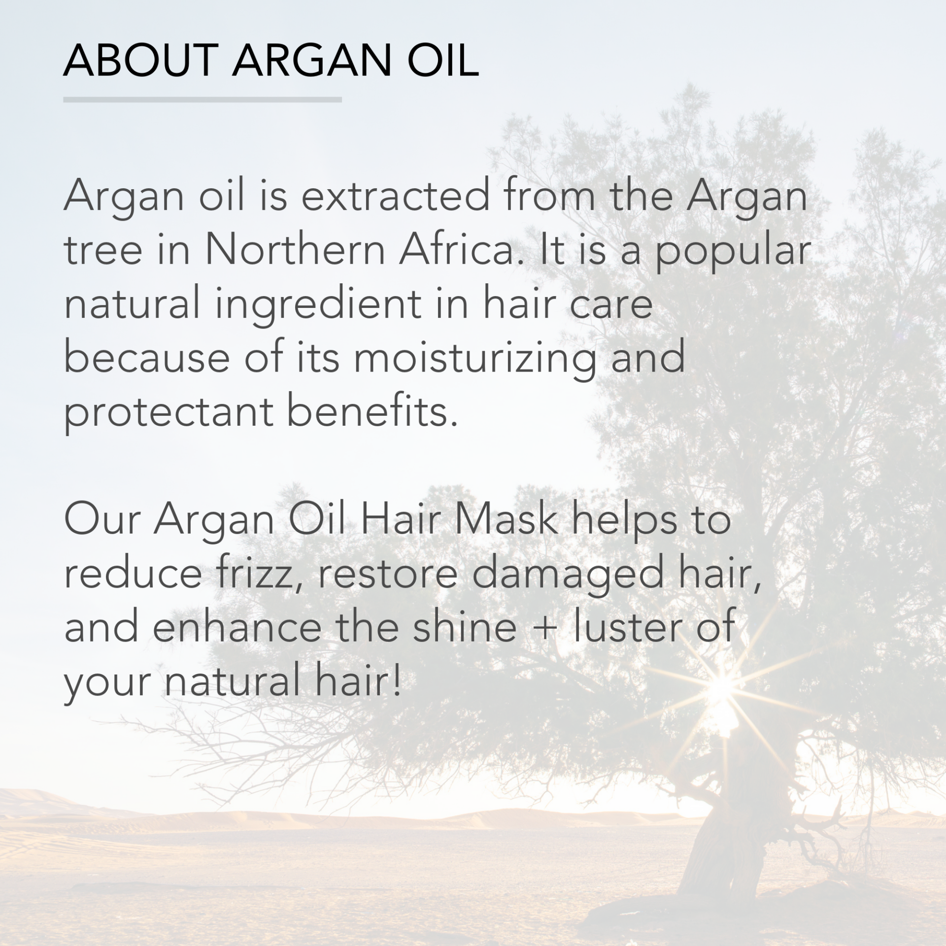 A tree with Moroccan Argan Oil Deep Hydration Hair Mask shining through it.