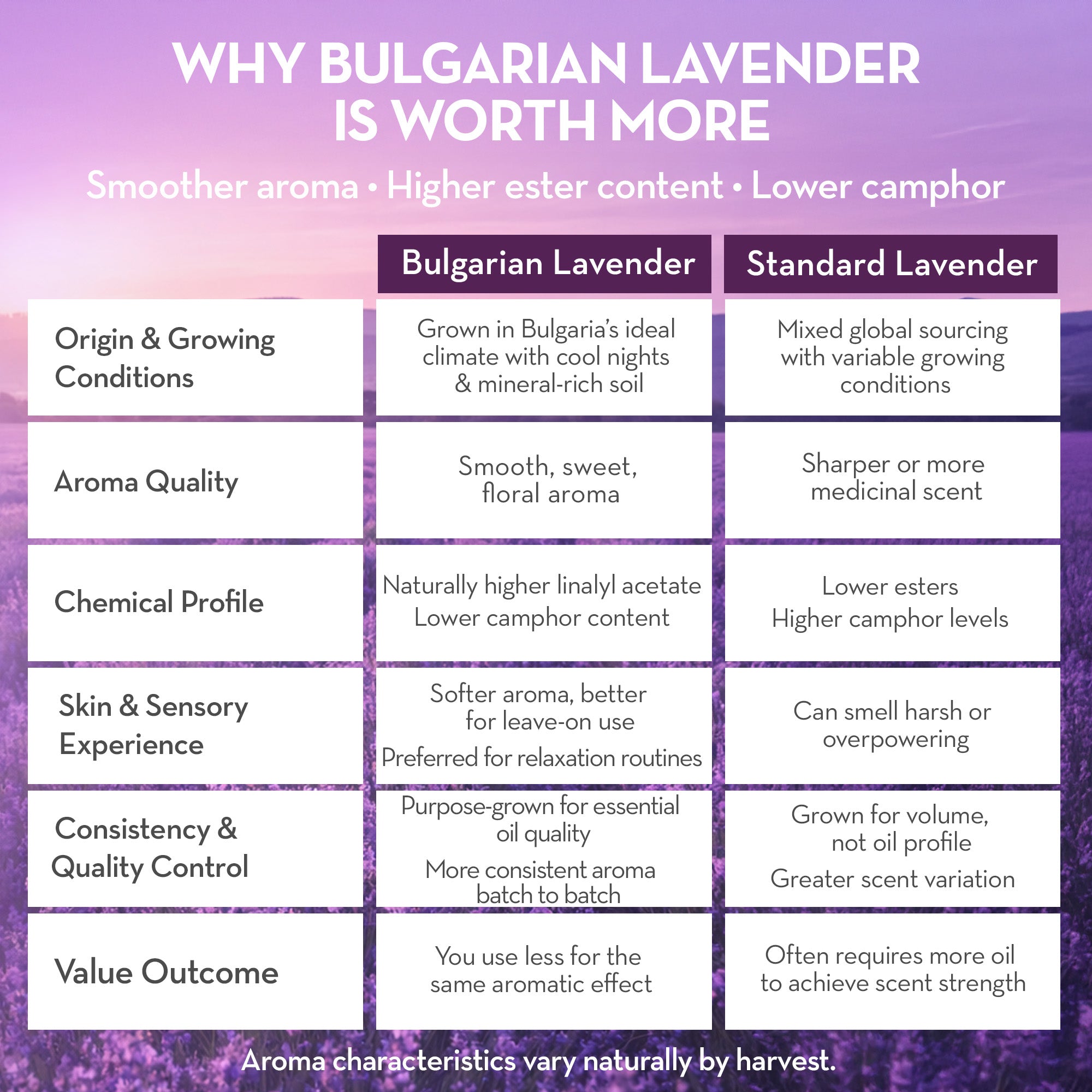 Comparison chart of Bulgarian lavender and standard lavender on a purple background